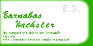 barnabas wachsler business card